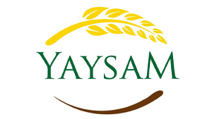 yaysam yaysam